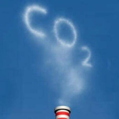 News Fourteen: weolcome to our website